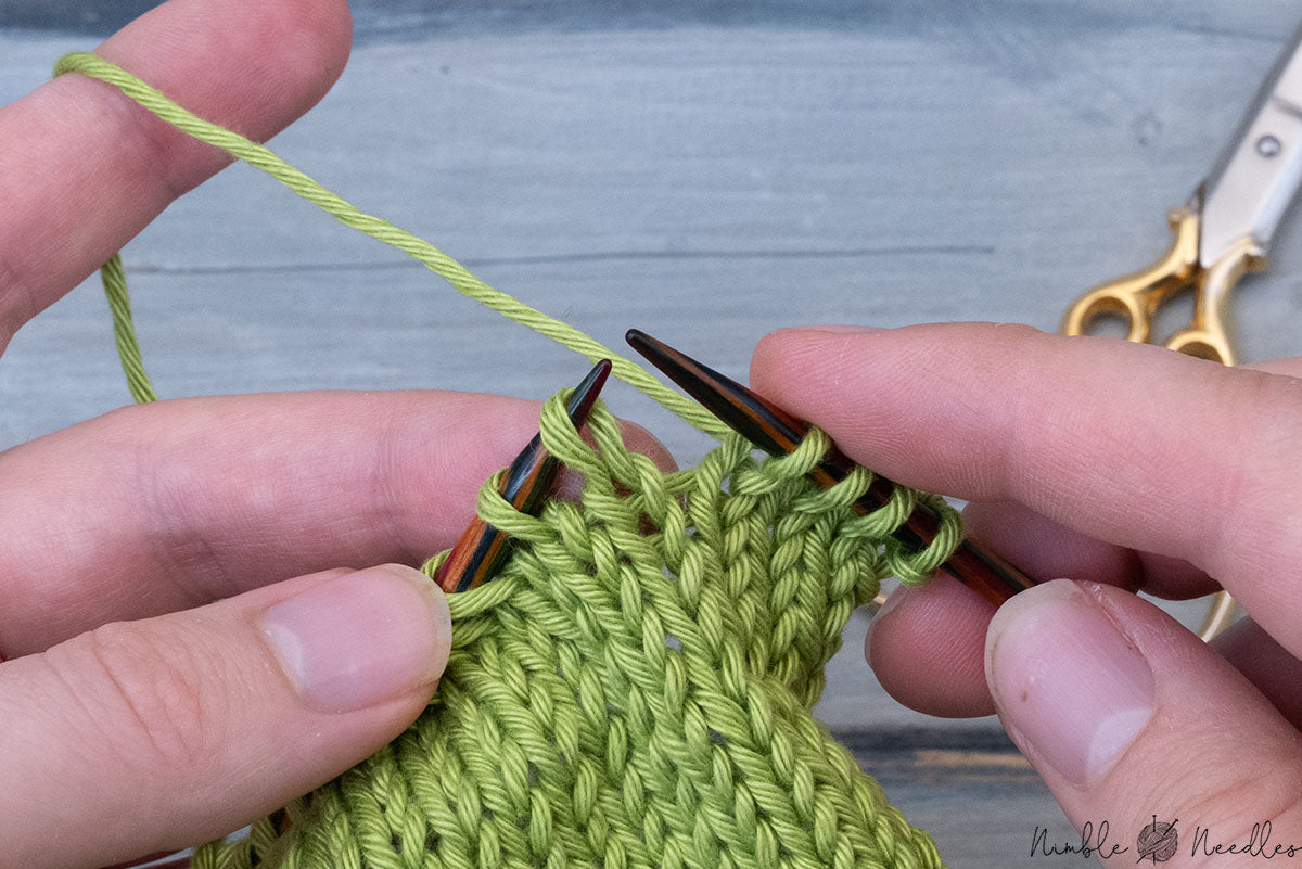 Stitch Spotlight: The Brioche Stitch