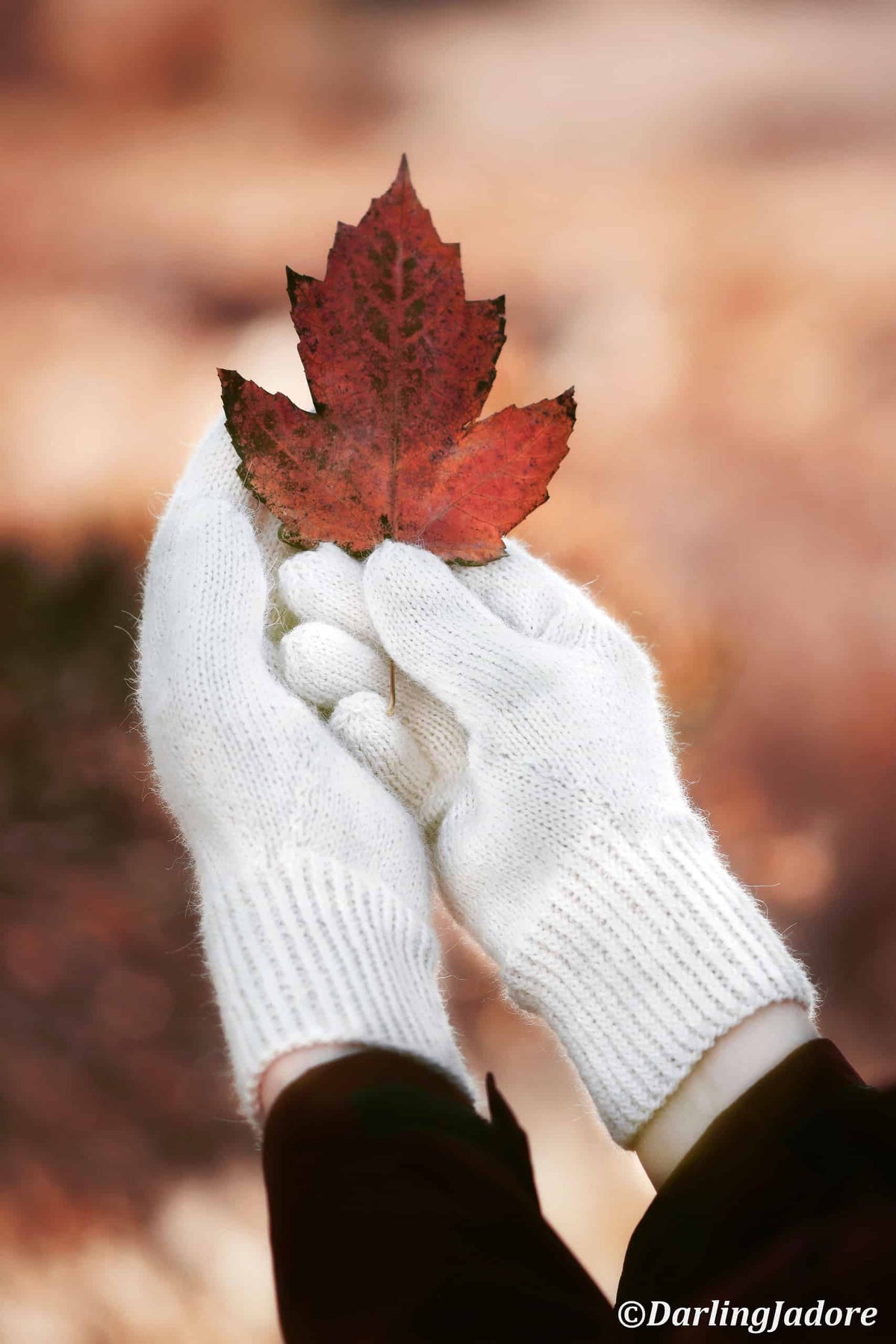 Traditional knit gloves pattern with timeless design - intermediate gloves knitting pattern