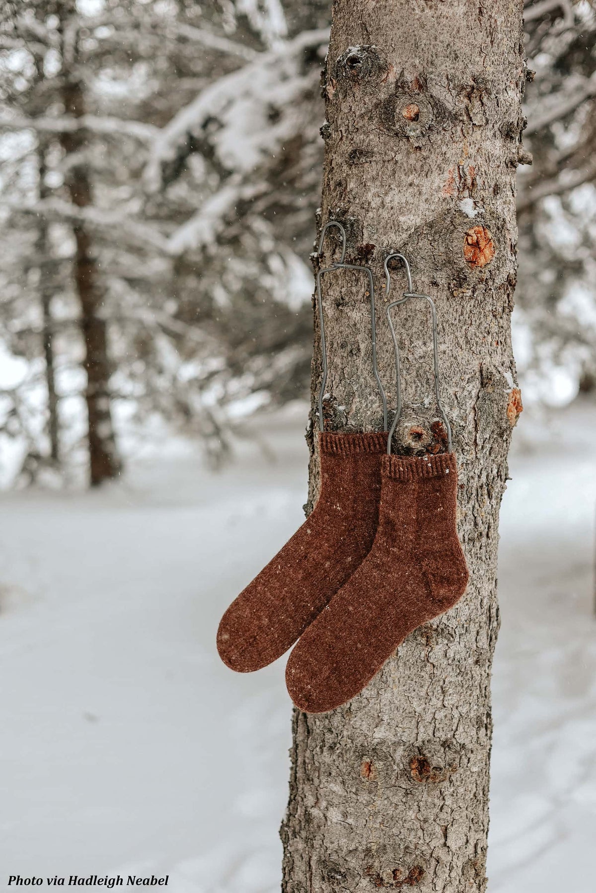 Cozy hand knit boyfriend socks in neutral yarn - beginner friendly sock pattern by Darling Jadore