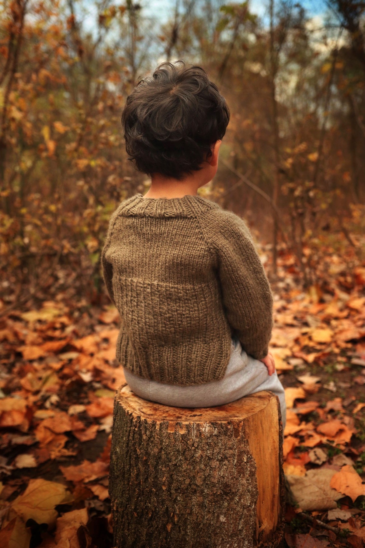 Child wearing cream raglan sweater with ribbed collar - Sapling Sweater easy knitting pattern by Darling Jadore
