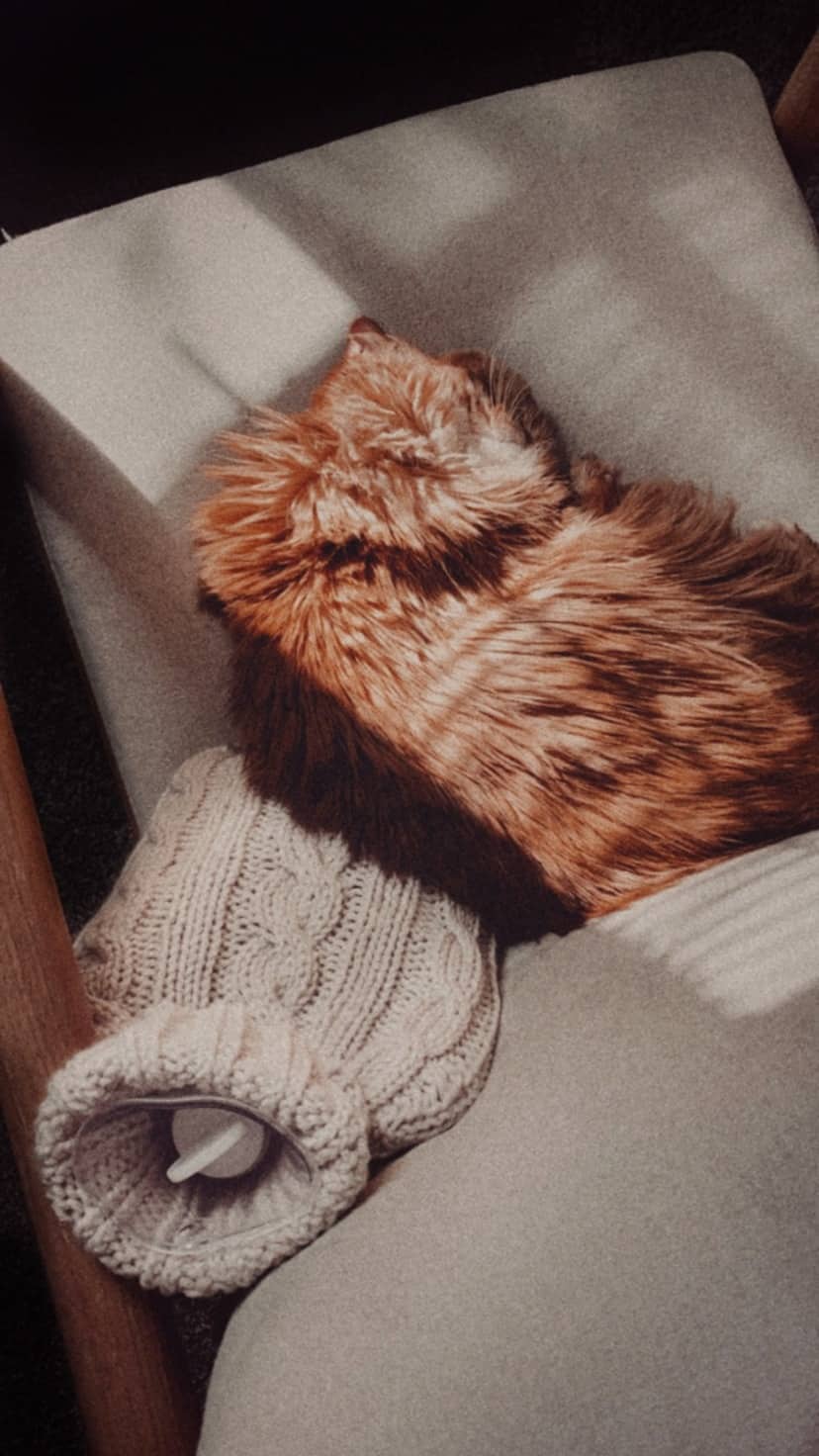 Close-up of intricate cable knit pattern detail on Willow hot water bottle cozy
