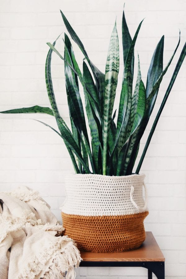 Scandinavian-style crochet belly basket with plant in minimalist home decor setting
