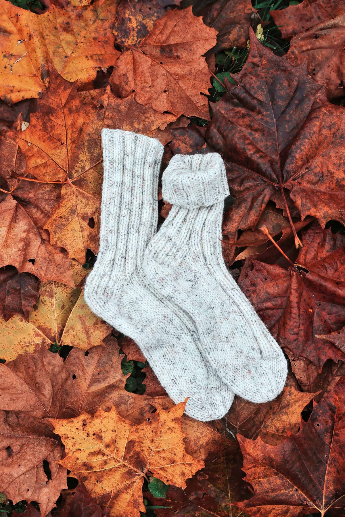 Beginner-friendly worsted weight house socks knitting pattern in natural light