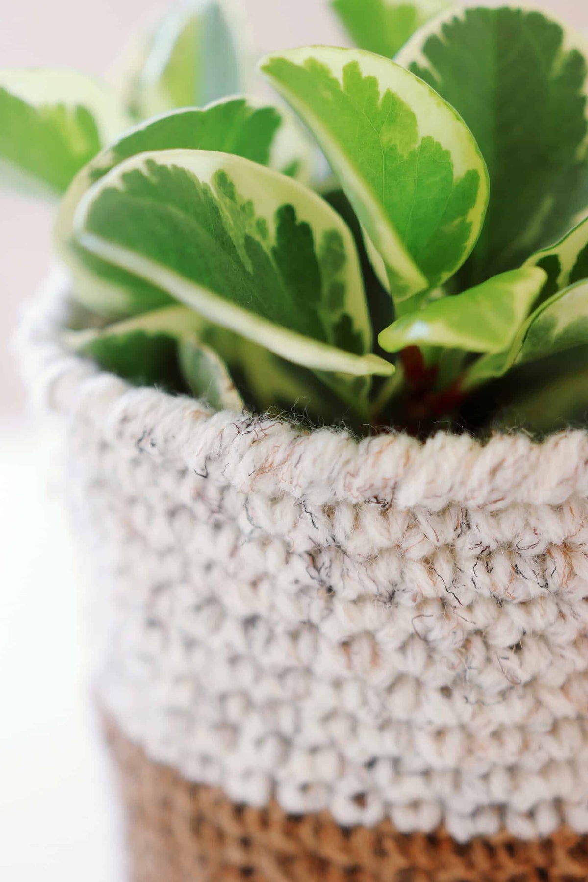 Beginner-friendly jute basket crochet pattern with sleek modern finish by Darling Jadore