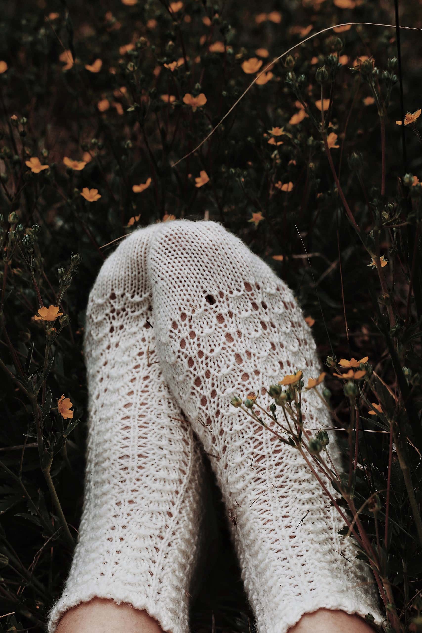 The Rosehip Socks Knitting Pattern
